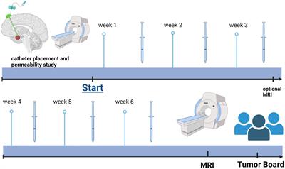Feasibility, tolerability, and first experience of intracystic treatment with peginterferon alfa-2a in patients with cystic craniopharyngioma